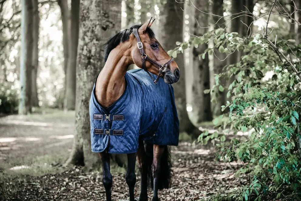 Stable Rug 200g by Kentucky