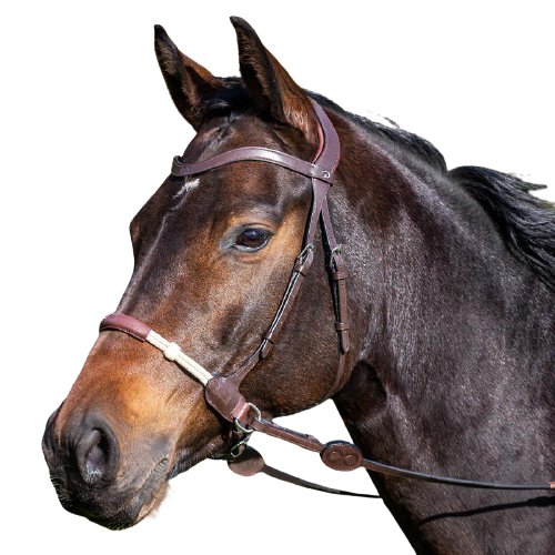 Dy'on La Cense Bitless Bridle CEHCXV