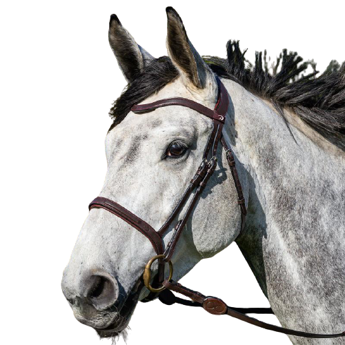 Dy'on La Cense Flash Noseband Bridle CEICAA