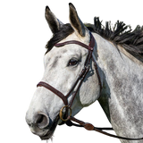 Dy'on La Cense Flash Noseband Bridle CEICAA