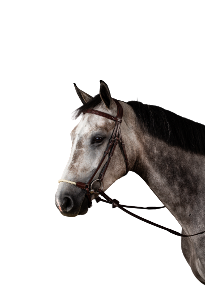 Dy'on New English Rope Drop Noseband Bridle NEAAAG