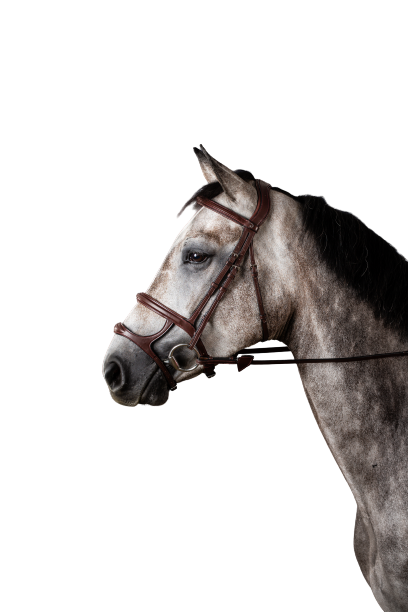 Dy'on New English Double Noseband Bridle NEAAAH