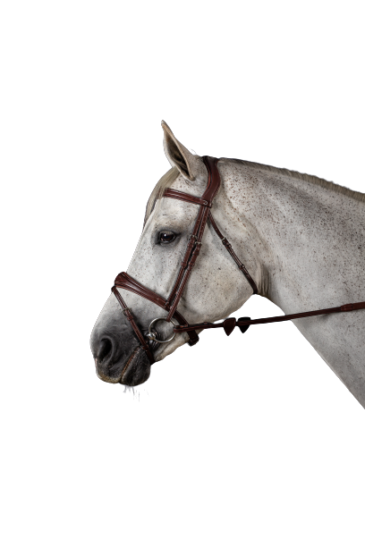 Dy'on New English Anatomic Flash Noseband Bridle NEABAB