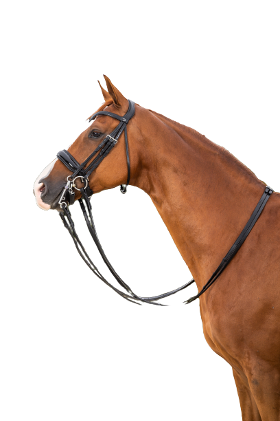 Dy'on Large Crank Noseband Double Bridle NEECAR/S/T