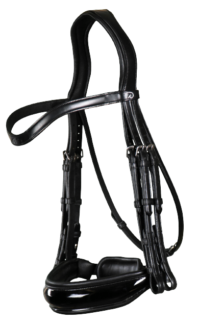 Dy'on Large Crank Noseband Double Bridle NEECAR/S/T