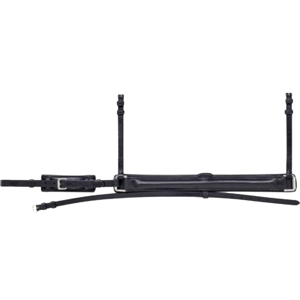 Crank Noseband with Removable Rubber Insert Loop by Equiline