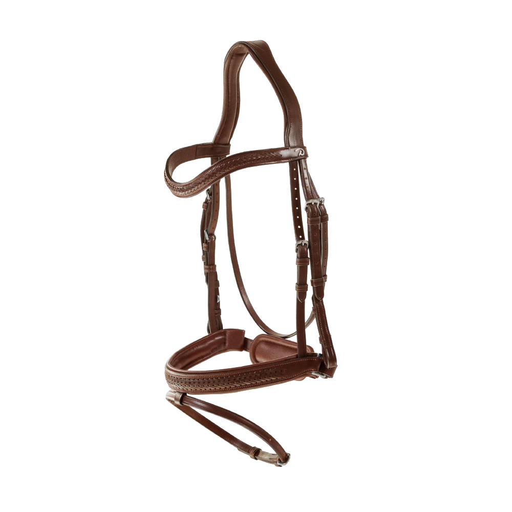 Dy'on Plaited Flash Noseband Bridle with Pull back NEAJAZ