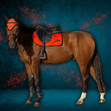 Saddle Pad by eQuick