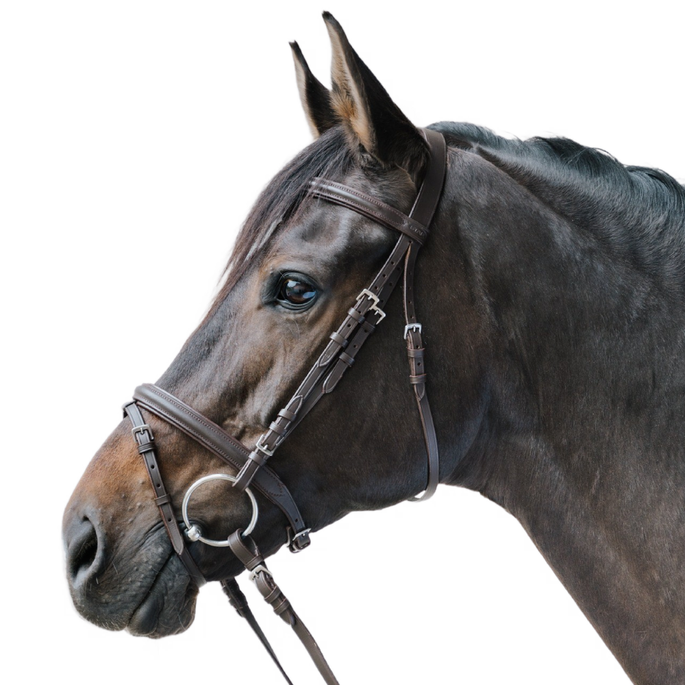 STAR LIFESTYLE bridle by Waldhausen