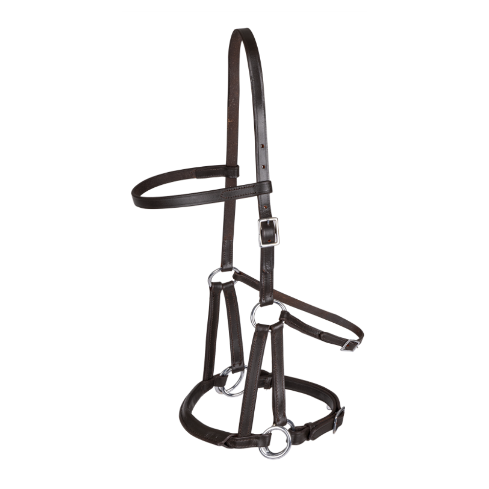 LINDELL BITLESS Bridle by Waldhausen