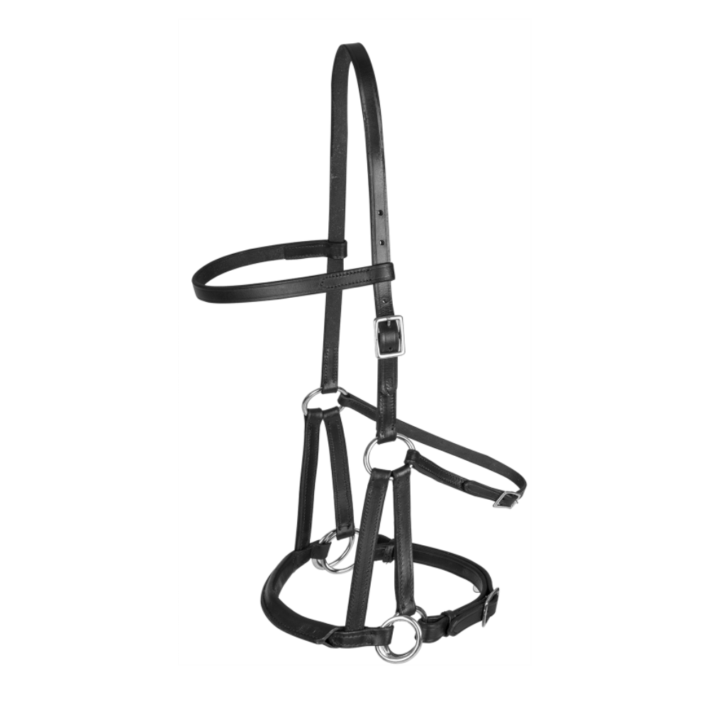 LINDELL BITLESS Bridle by Waldhausen