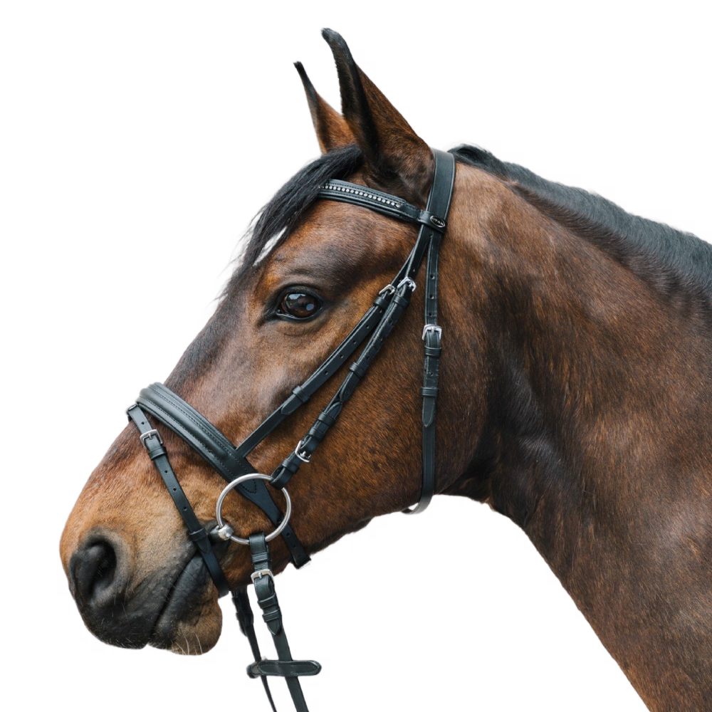 STAR DIAMOND Bridle by Waldhausen