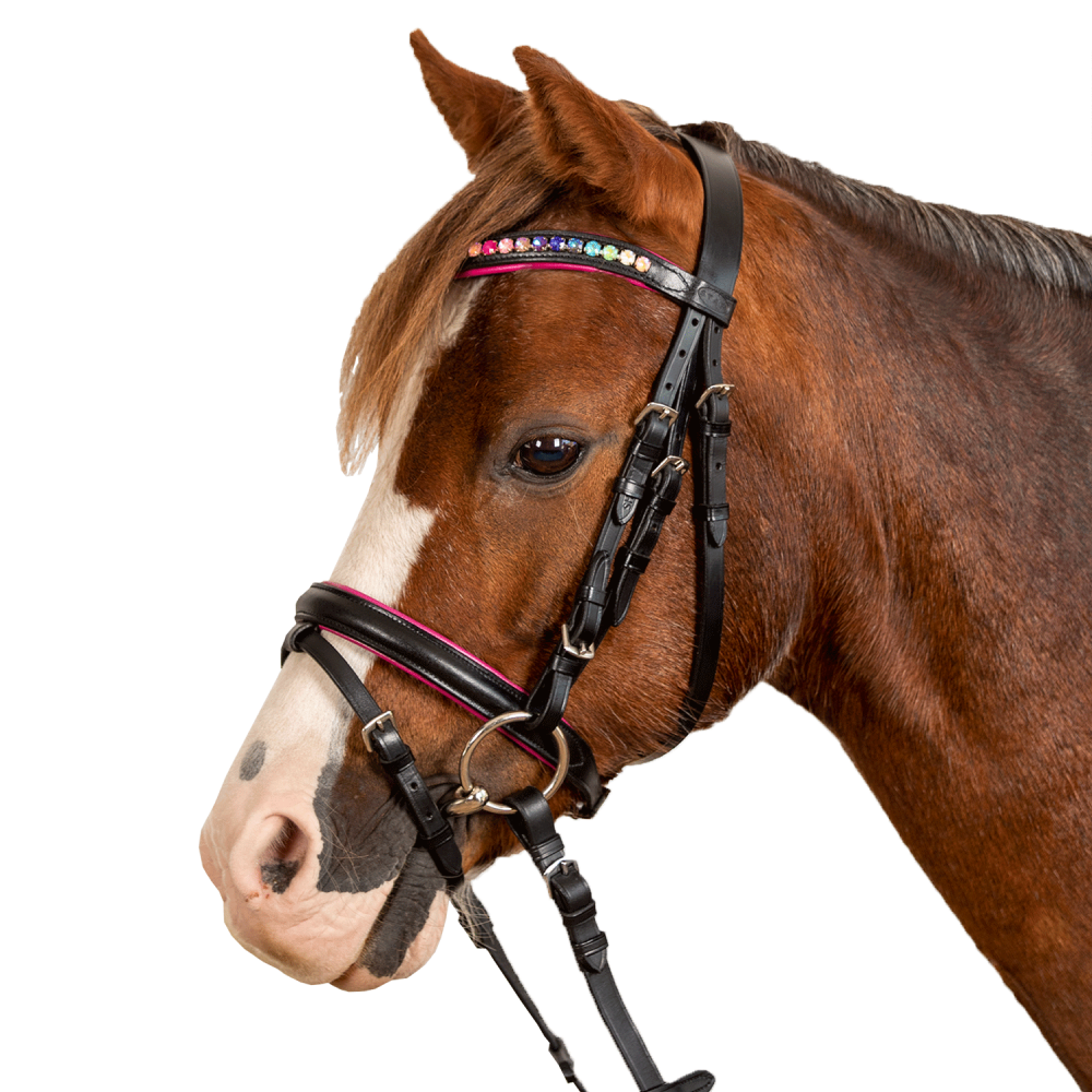 STAR PINKY Bridle by Waldhausen