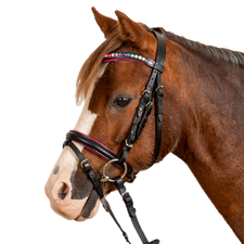 STAR PINKY Bridle by Waldhausen