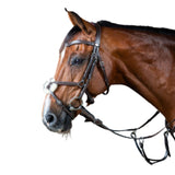 Dy'on Working Figure 8 Noseband Bridle WOAQHC