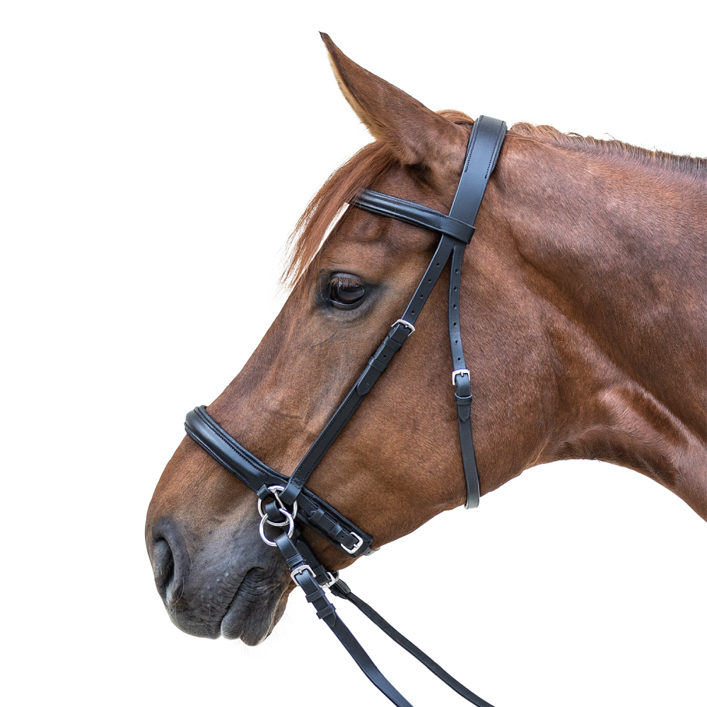 STAR BITLESS Bridle by Waldhausen