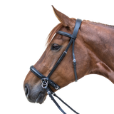 STAR BITLESS Bridle by Waldhausen