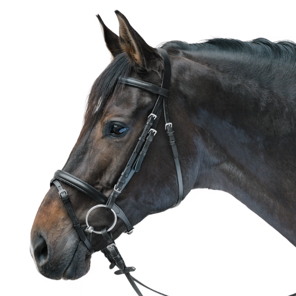 STAR LIFESTYLE bridle by Waldhausen