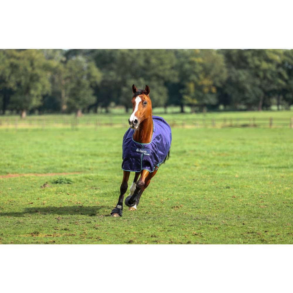 Smartex Turnout Rug by Bucas