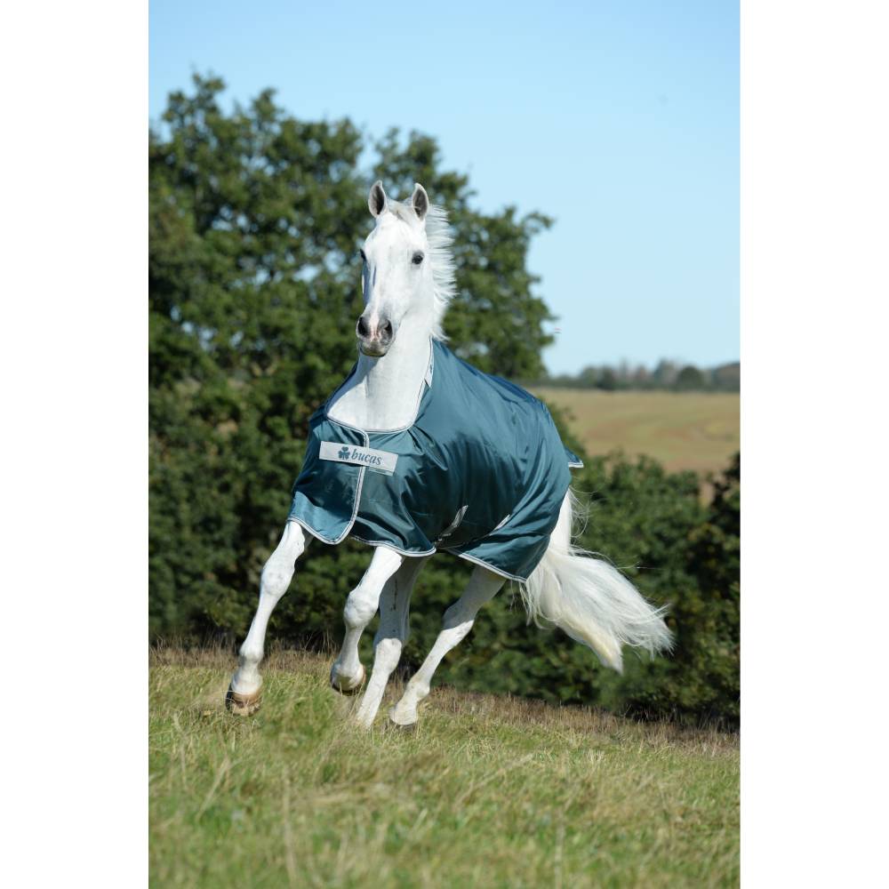 Atlantic Turnout Rug by Bucas