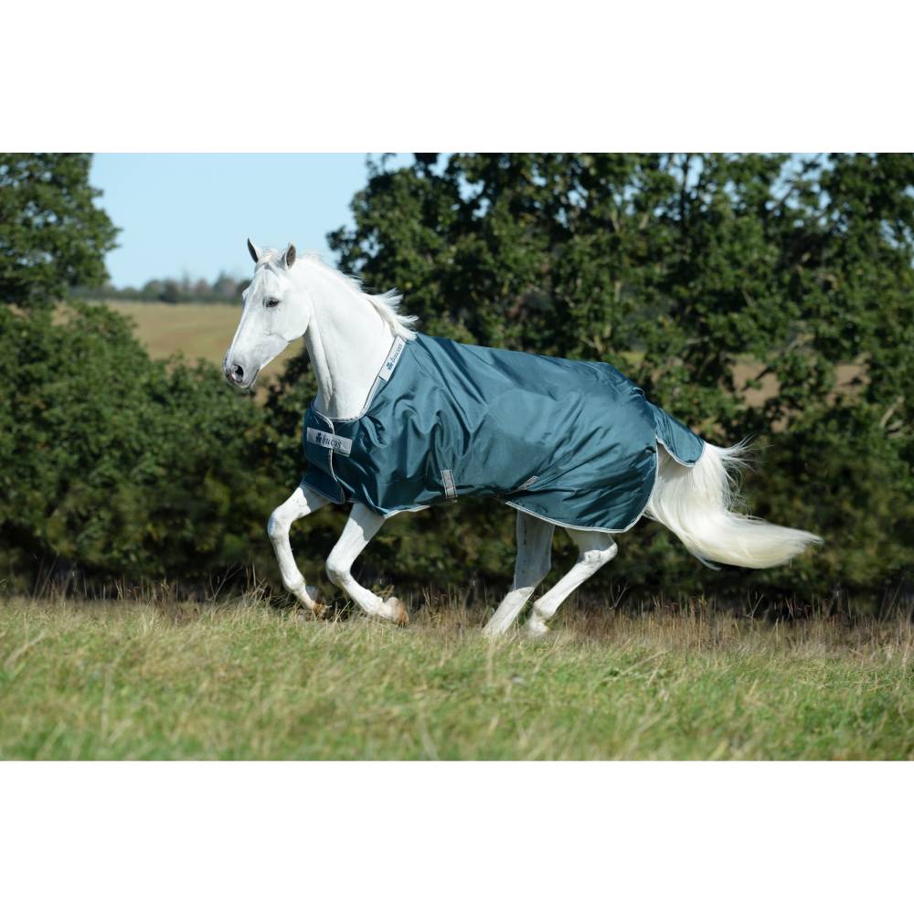 Atlantic Turnout Rug by Bucas