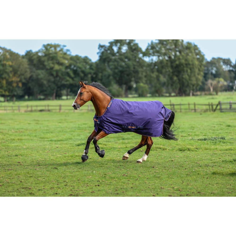 Therapy Turnout Rug by Bucas