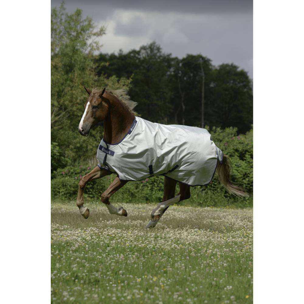 Power Turnout Rug by Bucas