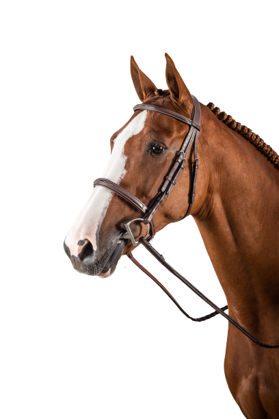 Dy'on Hunter Cavesson Noseband Bridle USKDAJ