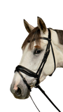 Dy'on Large Crank Noseband Bridle with Flash WODCAM/N/O