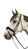 Dy'on Large Crank Noseband Bridle with Flash WODCAM/N/O