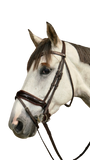 Dy'on Large Crank Noseband Bridle with Flash WODCAM/N/O