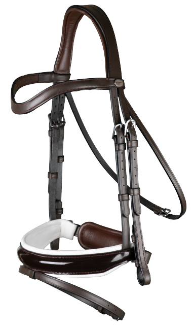 Dy'on Large Crank Noseband Bridle with Flash WODCAM/N/O