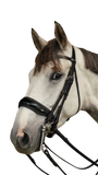 Dy'on Large Crank Noseband Double Bridle WOECAR/S/T