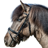 Dy'on Icelandic Flash Noseband Bridle ICICAA