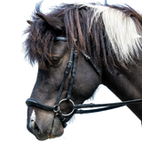 Dy'on Icelandic Drop Noseband Bridle ICICAE