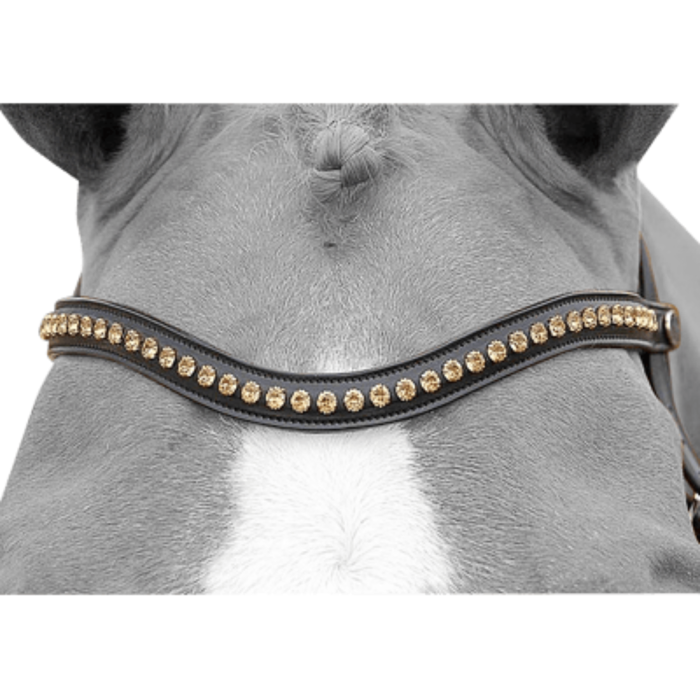 Dy'on Dressage Gold Swarovski V-Shaped Browband NE02I