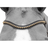 Dy'on Dressage Gold Swarovski V-Shaped Browband NE02I