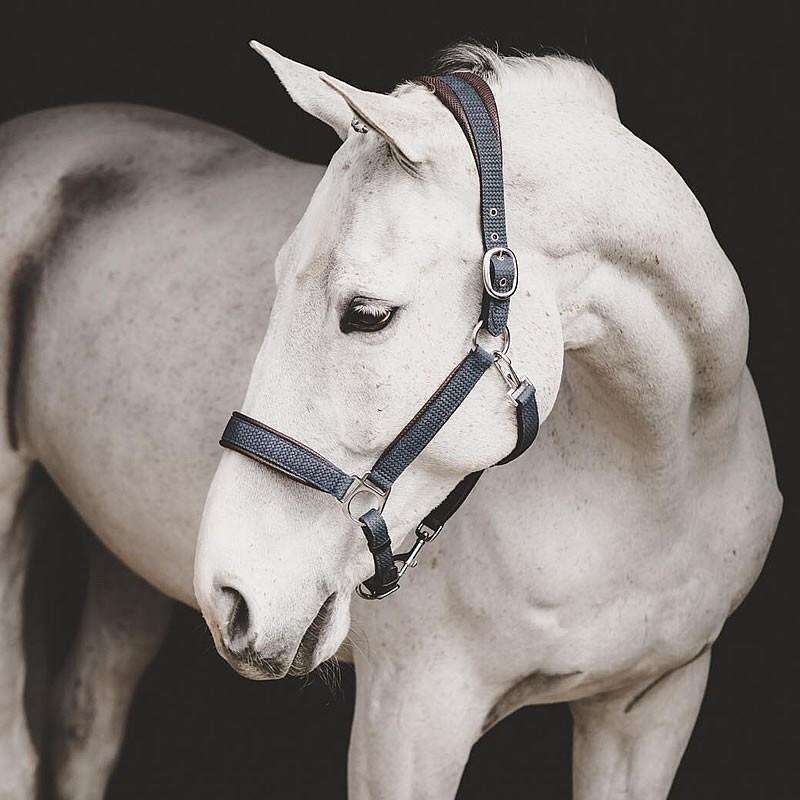 Dy'on New English Nubuck Headcollar NE09A