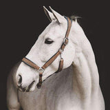 Dy'on New English Nubuck Headcollar NE09A