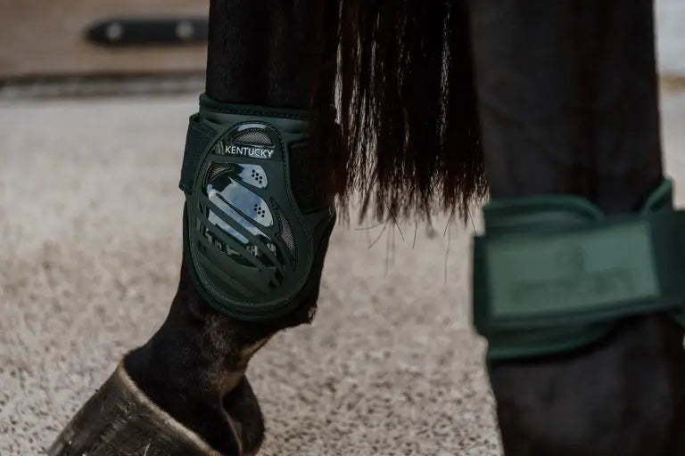 Young Horse Fetlock Boots by Kentucky