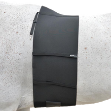 BellyBand for Spur Protection by EquiFit