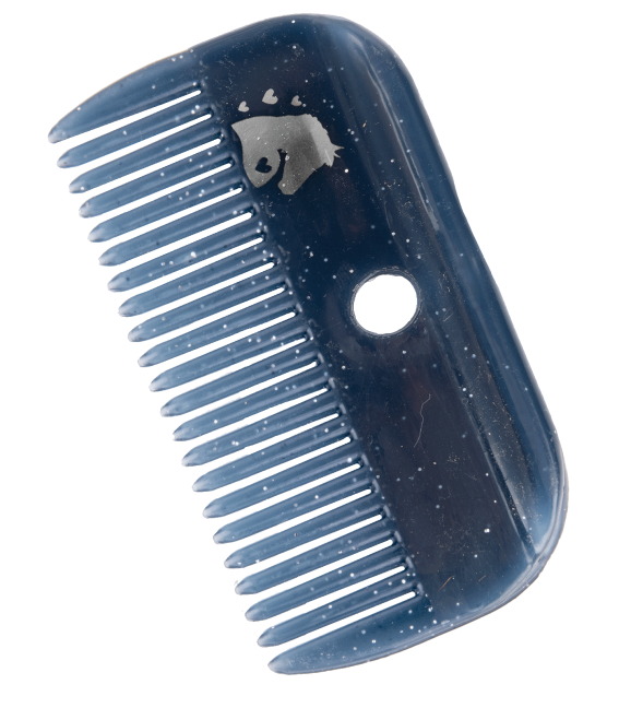 MANE COMB by Waldhausen