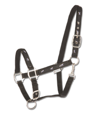 LITTLE HORSE HALTER by Waldhausen