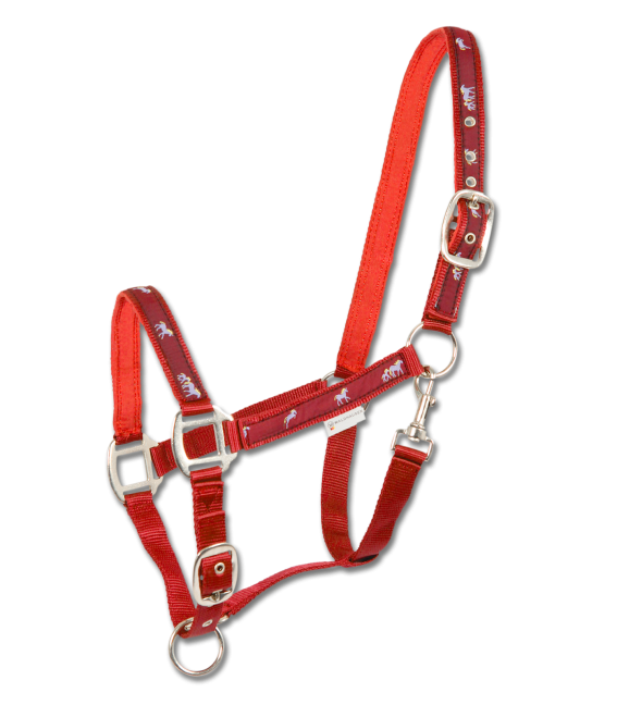 LITTLE HORSE HALTER by Waldhausen