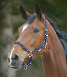 LITTLE HORSE HALTER by Waldhausen