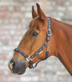 LITTLE HORSE HALTER by Waldhausen