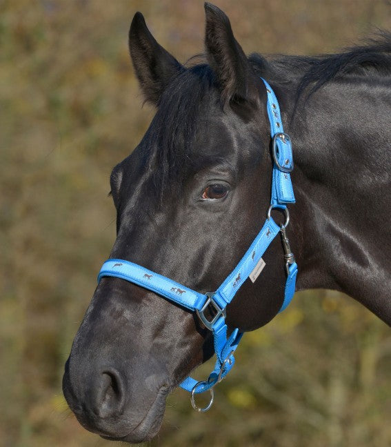 LITTLE HORSE HALTER by Waldhausen