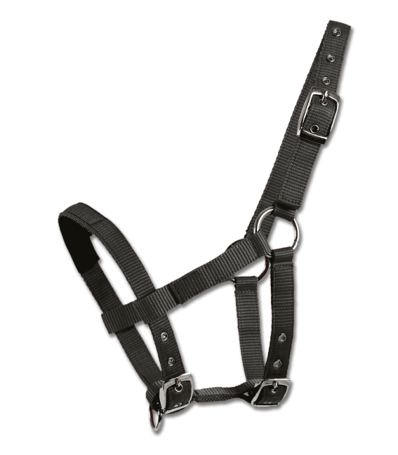 HALTER FOR MINI-SHETTY by Waldhausen