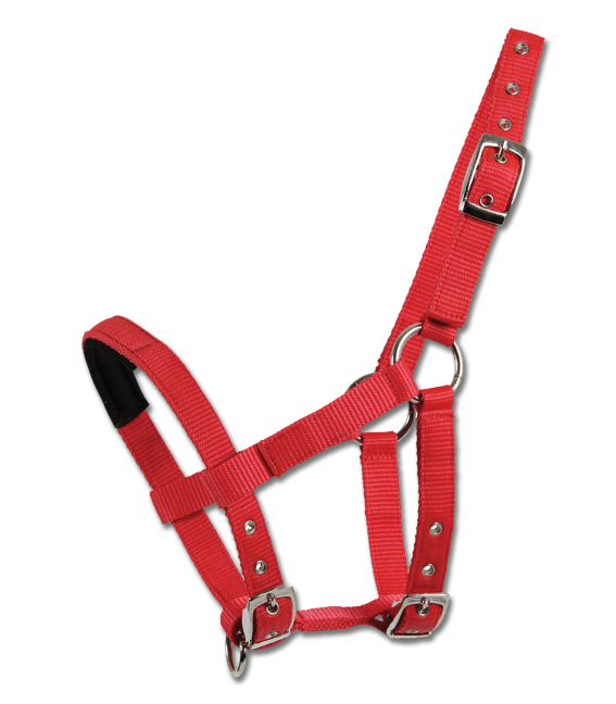 HALTER FOR MINI-SHETTY by Waldhausen