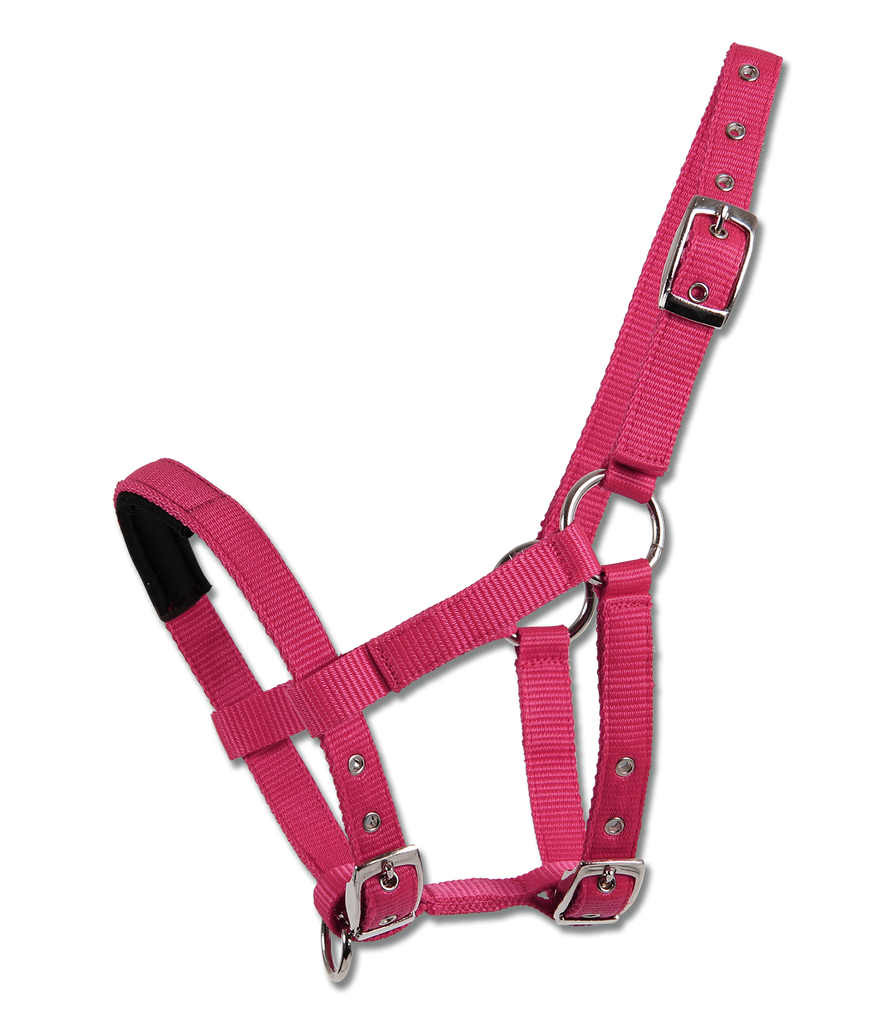 HALTER FOR MINI-SHETTY by Waldhausen